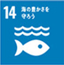 SDGs:海の豊かさを守ろう